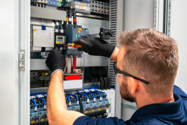 Best Electric Panel Repair  in Princeton, KY